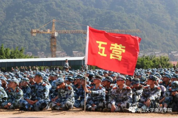 5dcba63d61c15.jpg 640.webp (3).jpg